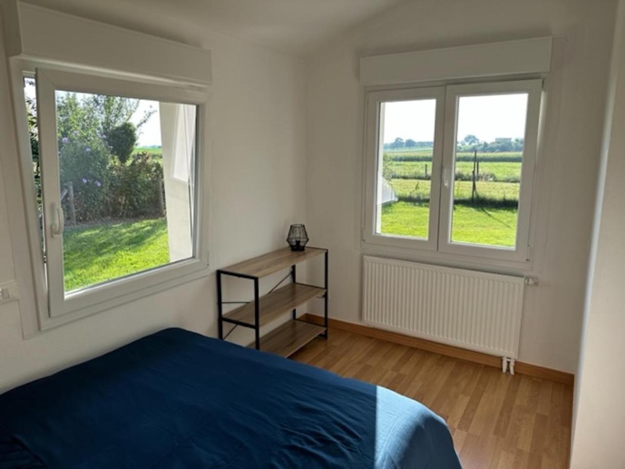 Le Nid Du Moulin Apartment Batzendorf Ngoại thất bức ảnh